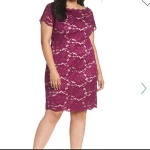 Adrianna Papell 16w lace sheath